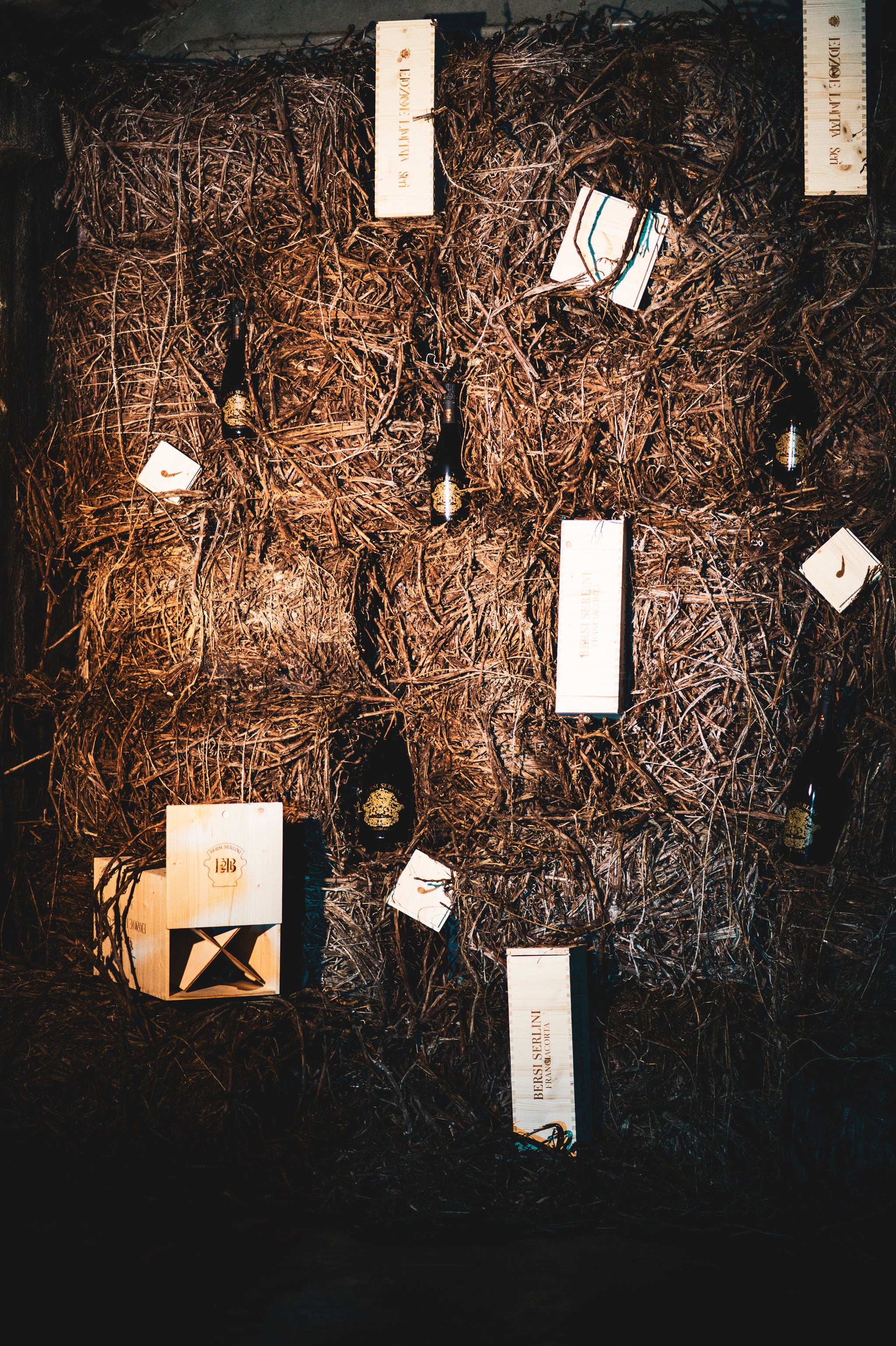 Vertical Nature Masterclass