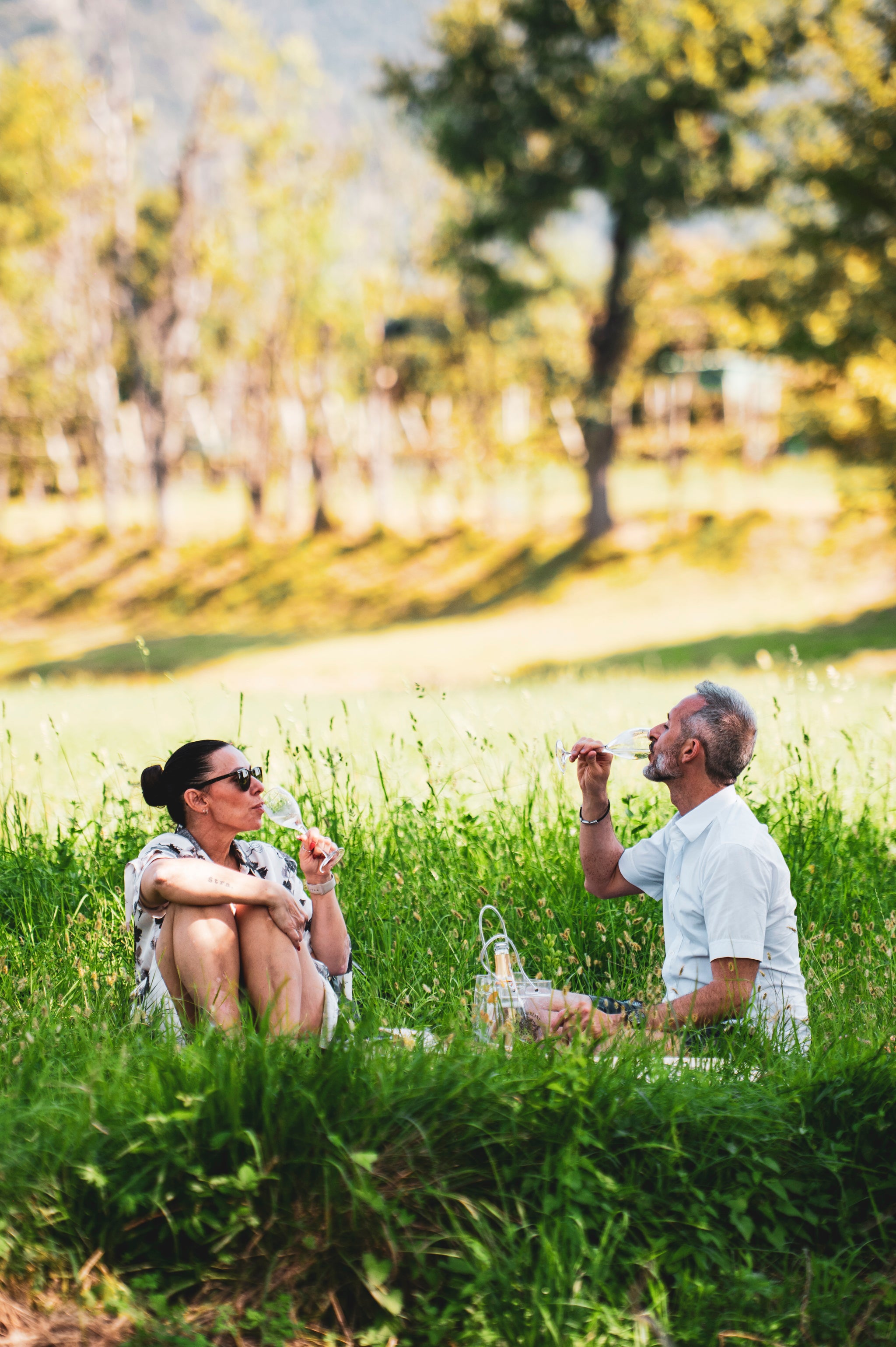 Pic Nic bordo vigna