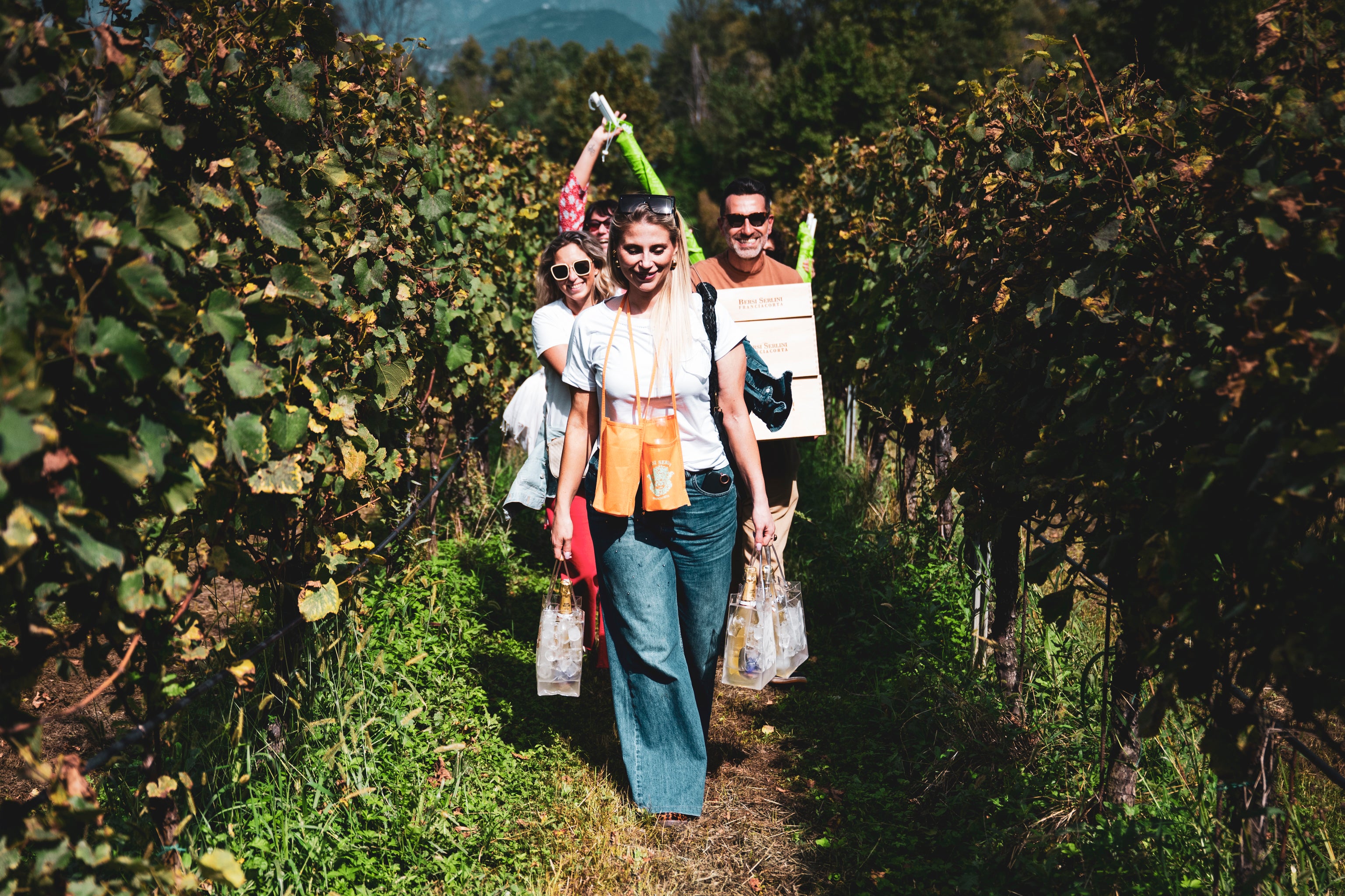 Pic Nic bordo vigna