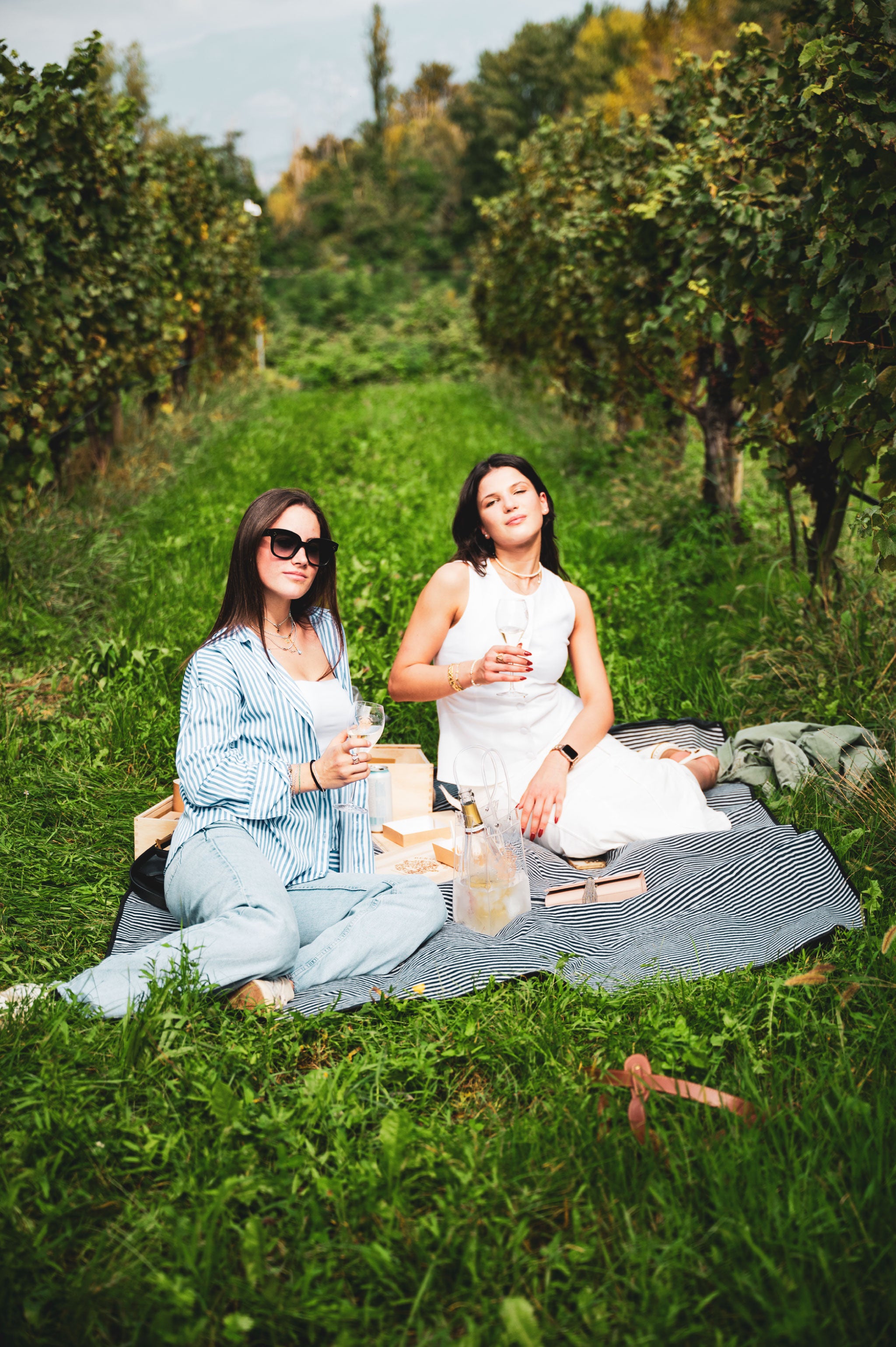 Pic Nic fra i vigneti