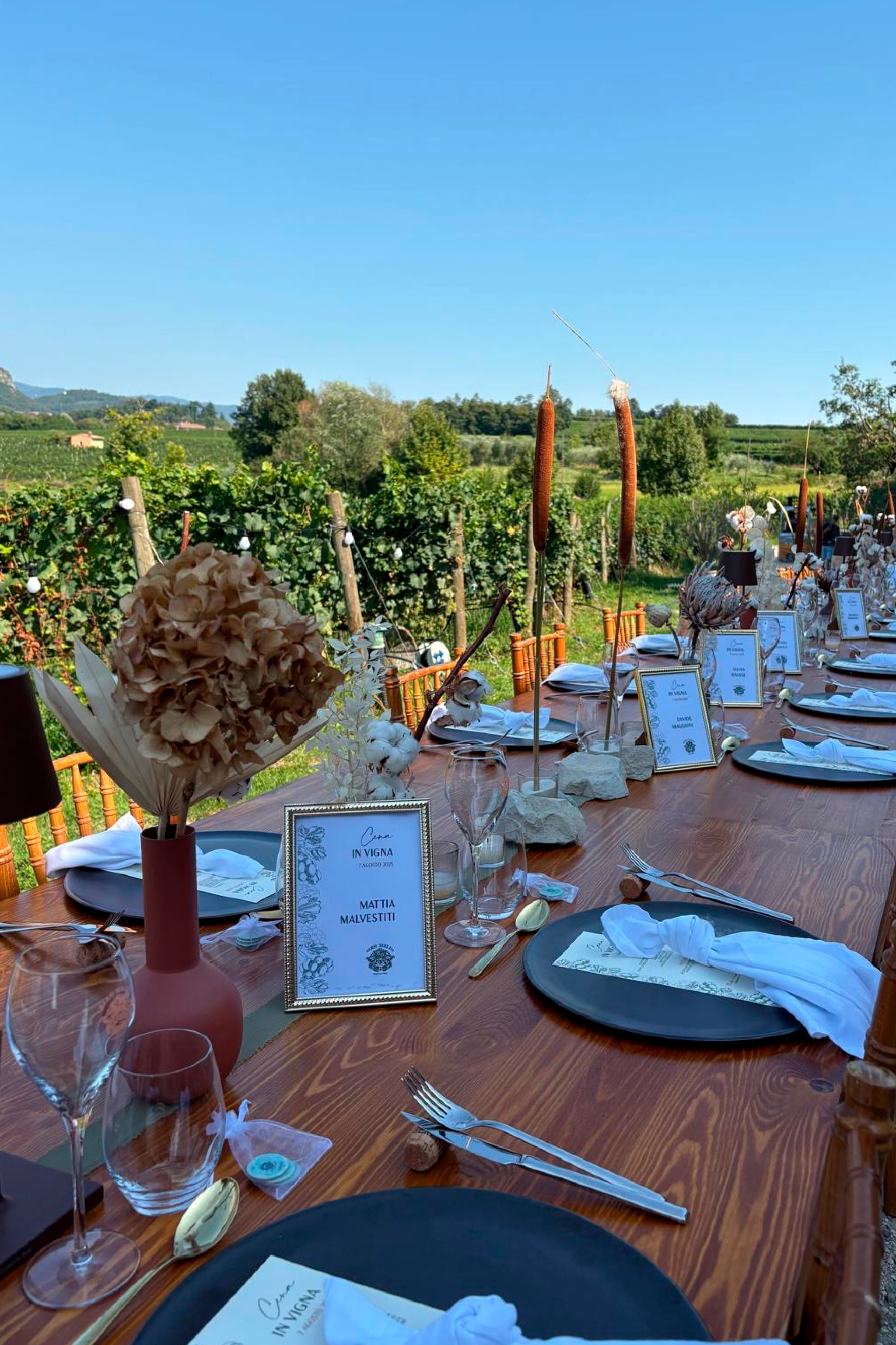 Cena in vigna
