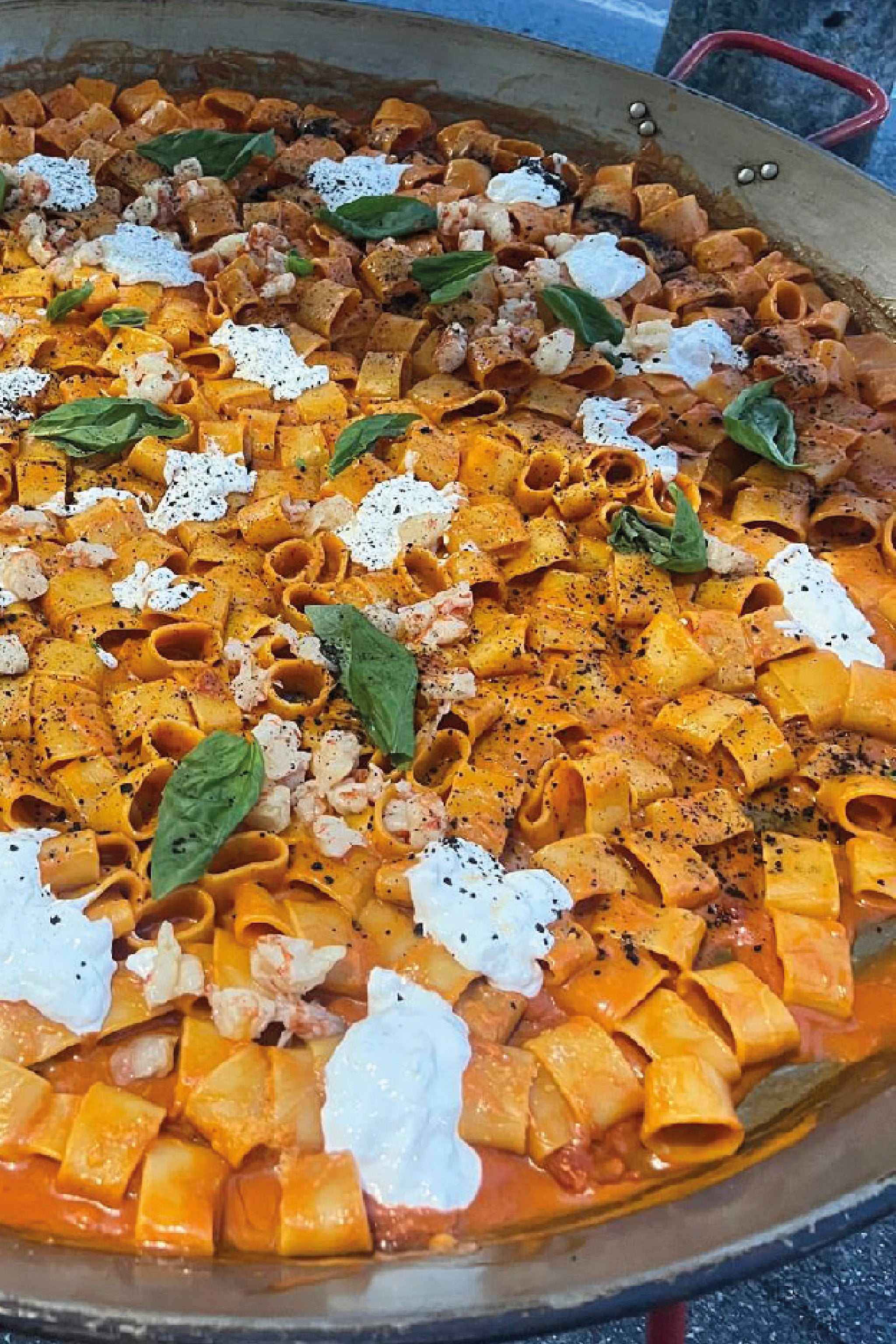 Cena in vigna