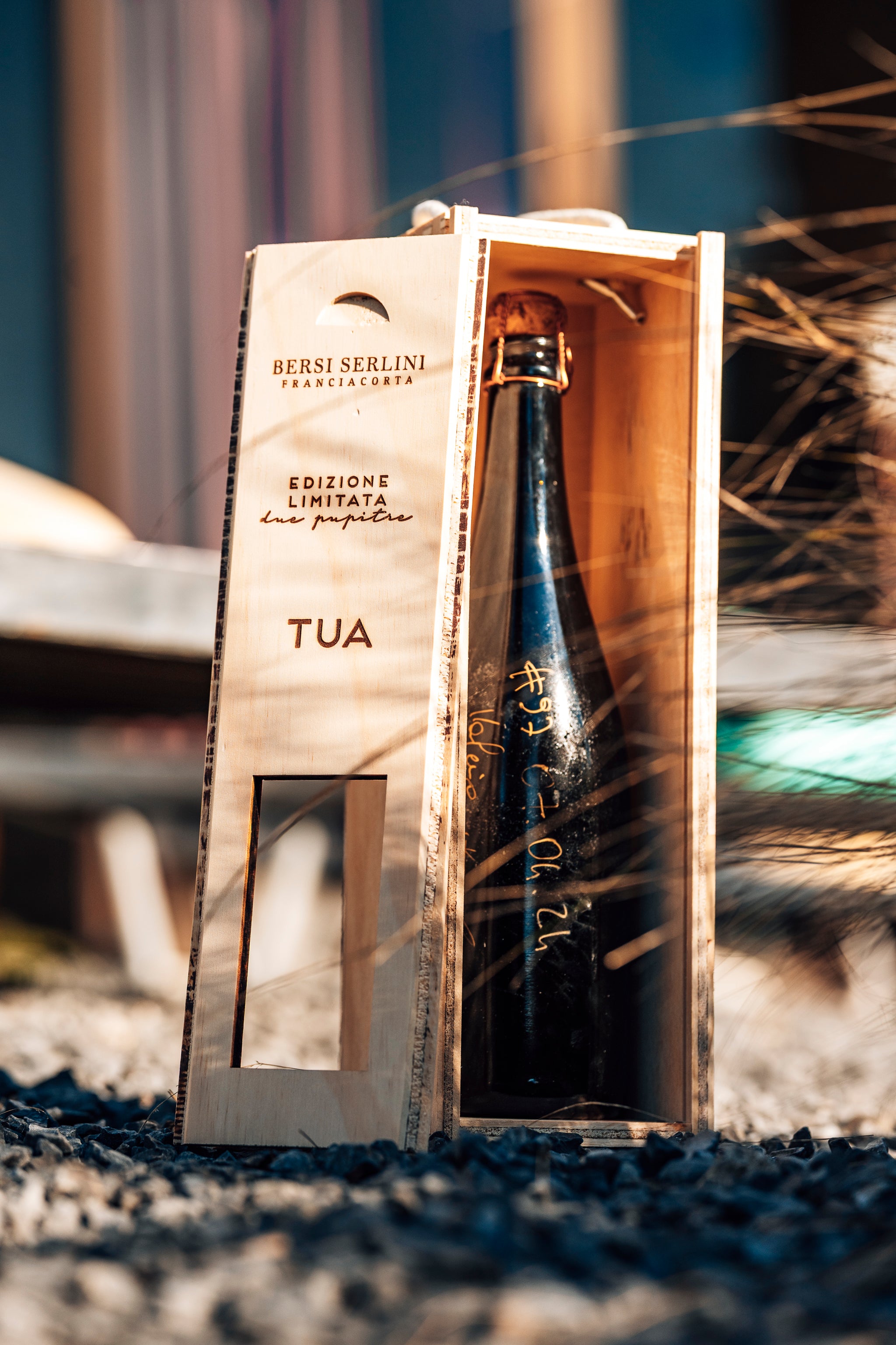 TUA EXPERIENCE