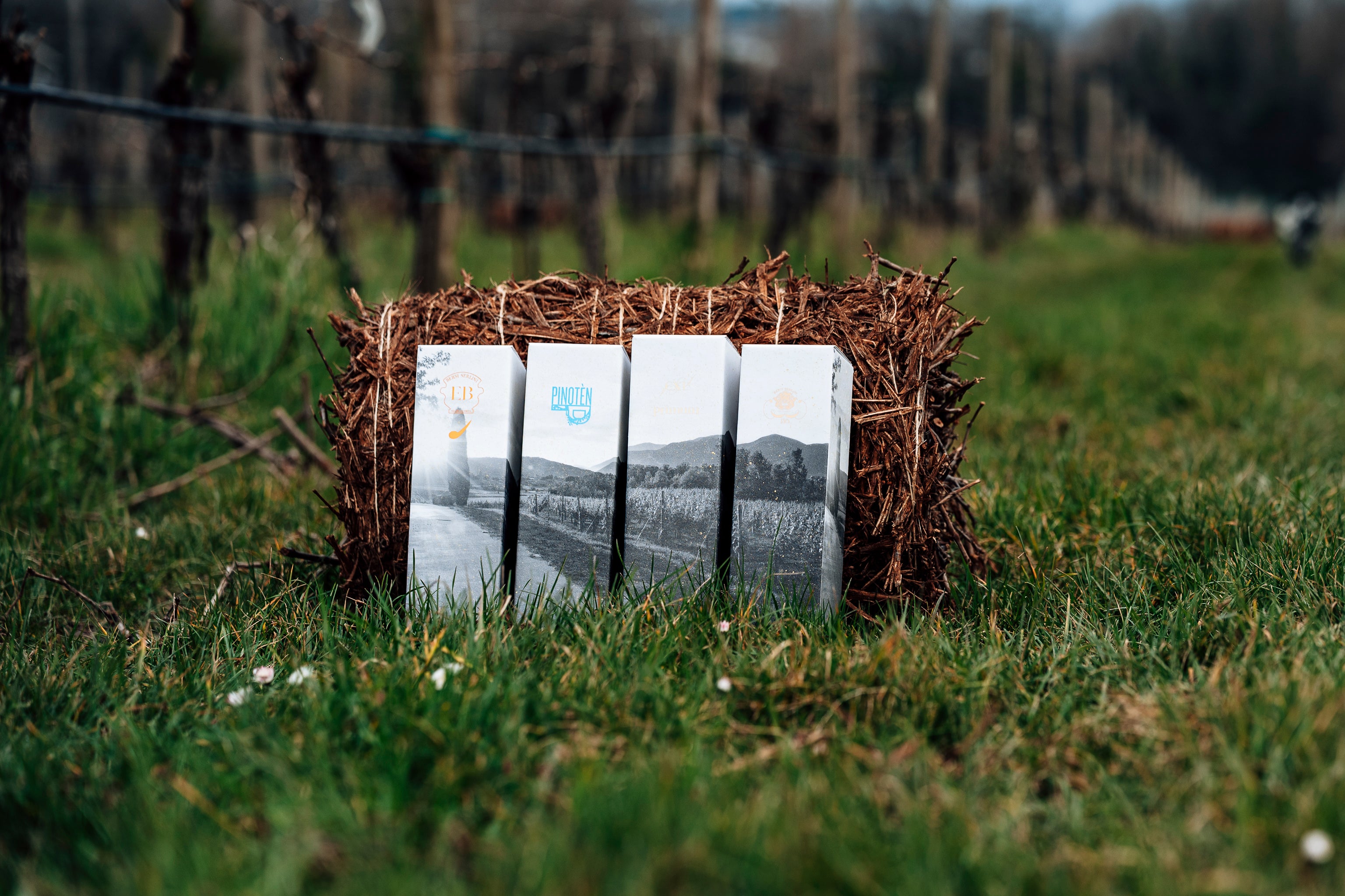 PINOTÈN Blanc de Noirs Millesimato