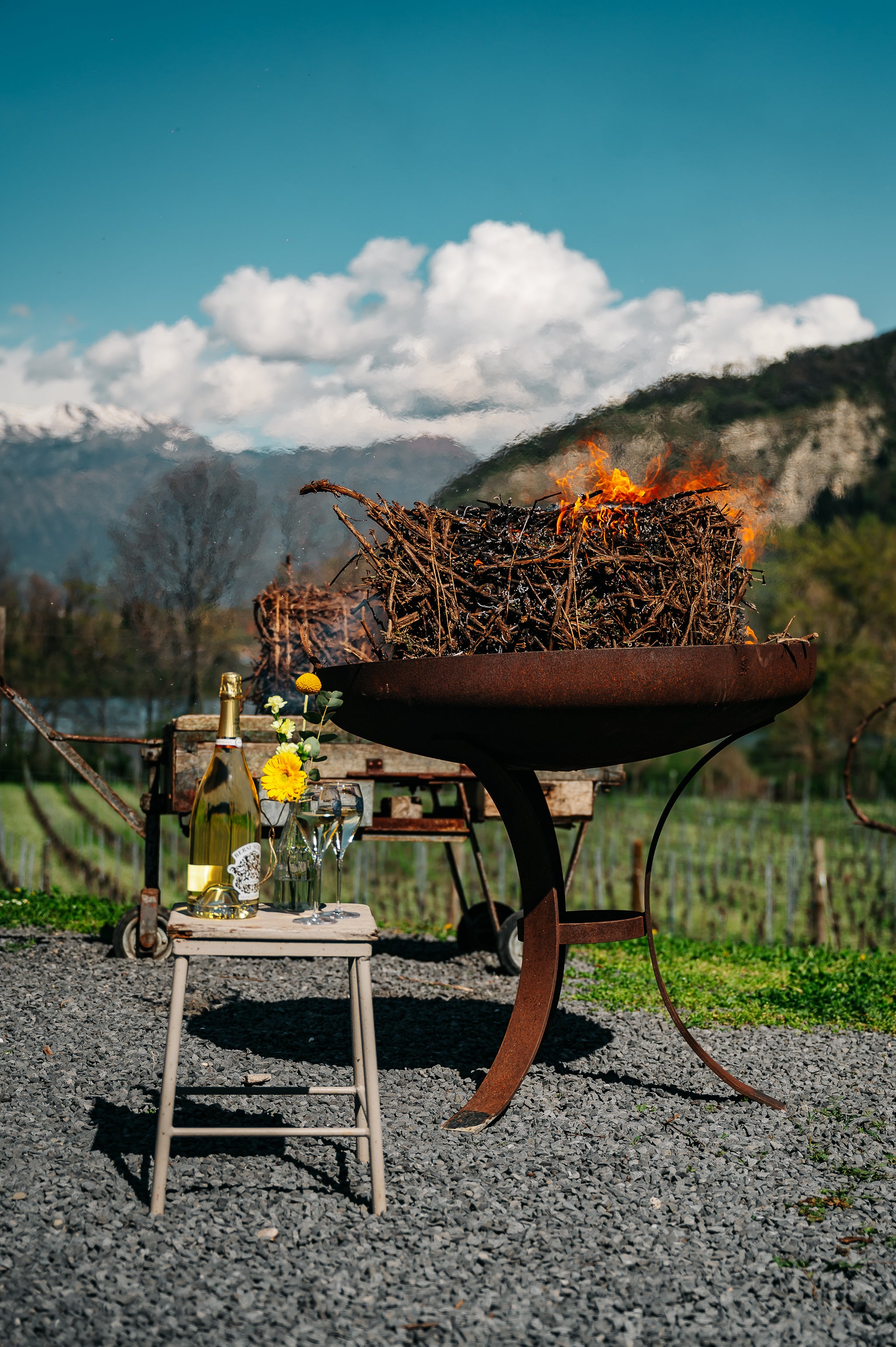 FESTIVAL DI PRIMAVERA
