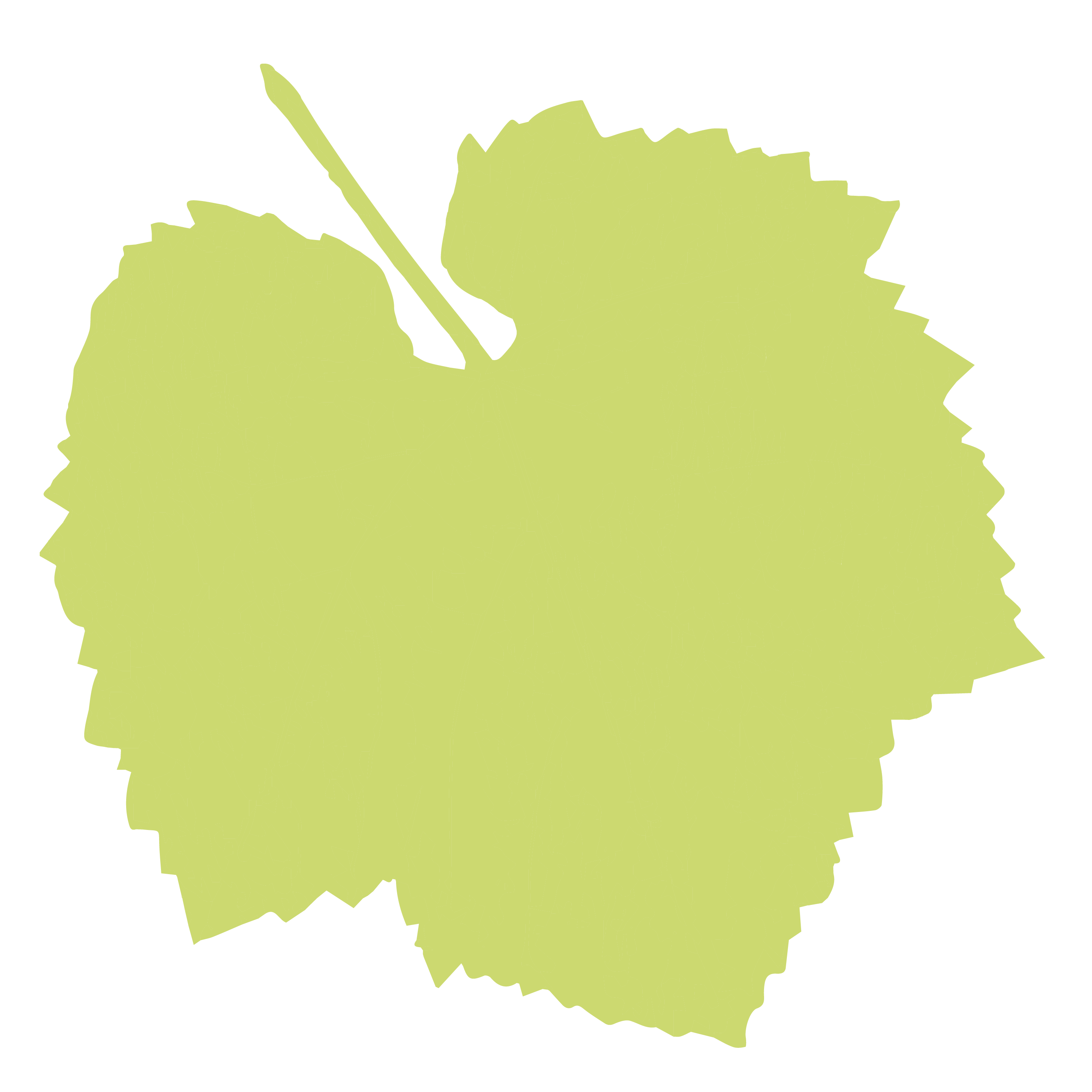 Wine Walking tour