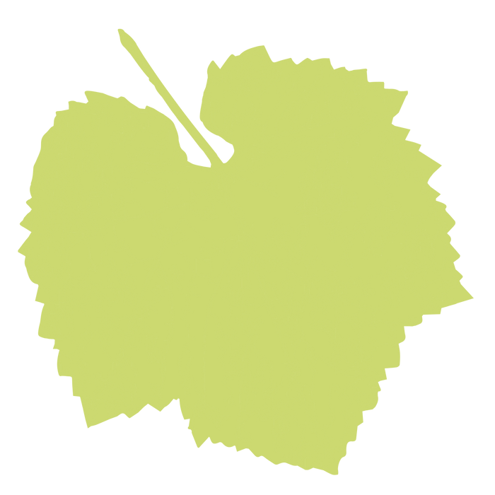 Wine Walking tour