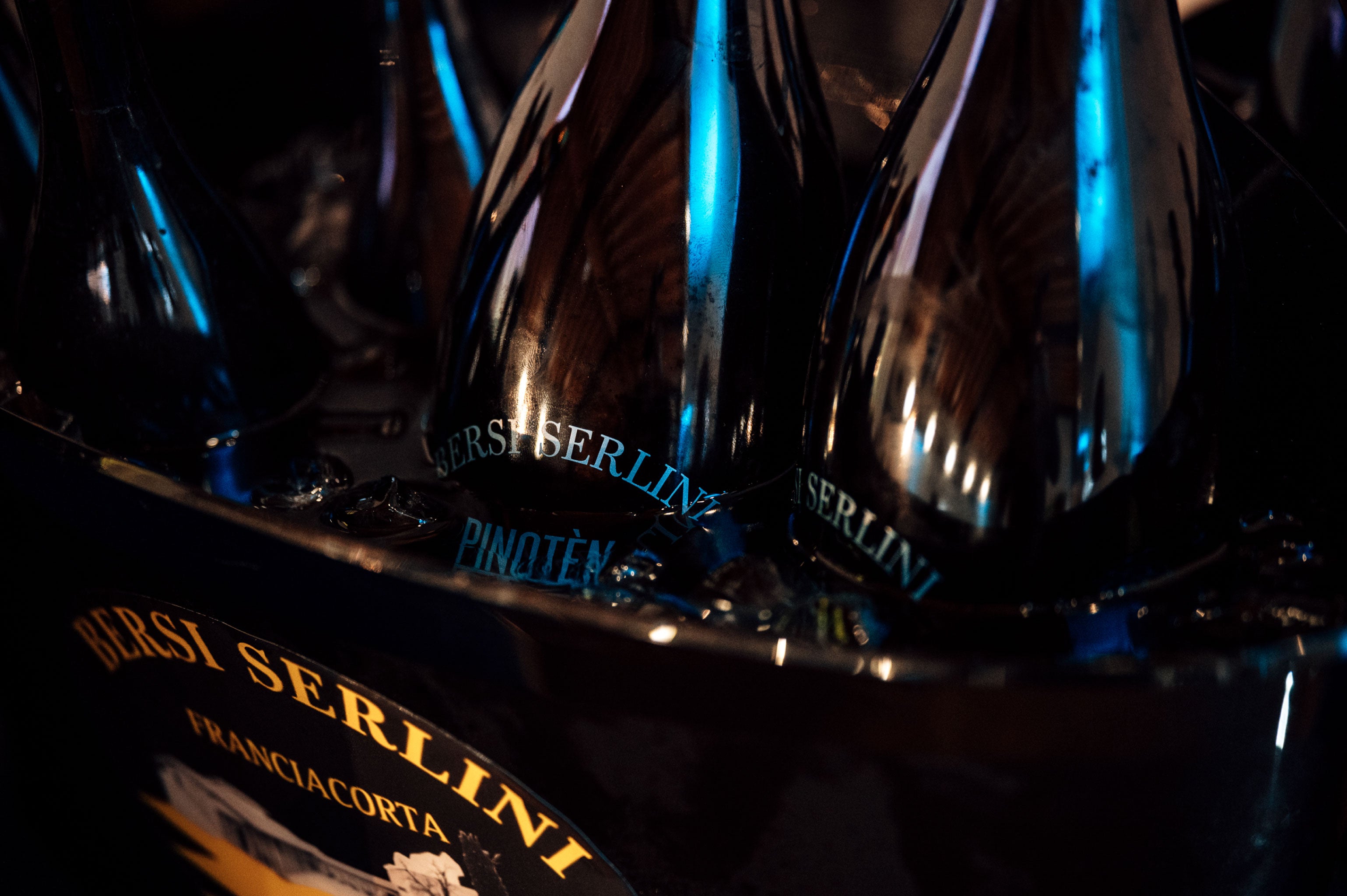 benvenuto pinotén