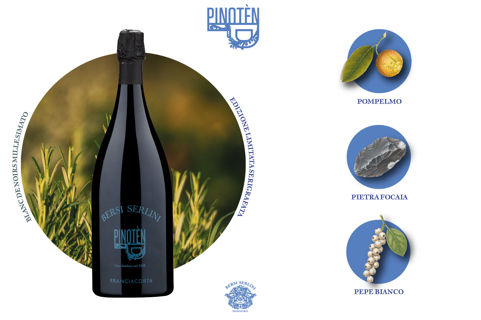 PINOTÈN Blanc de Noirs Millesimato