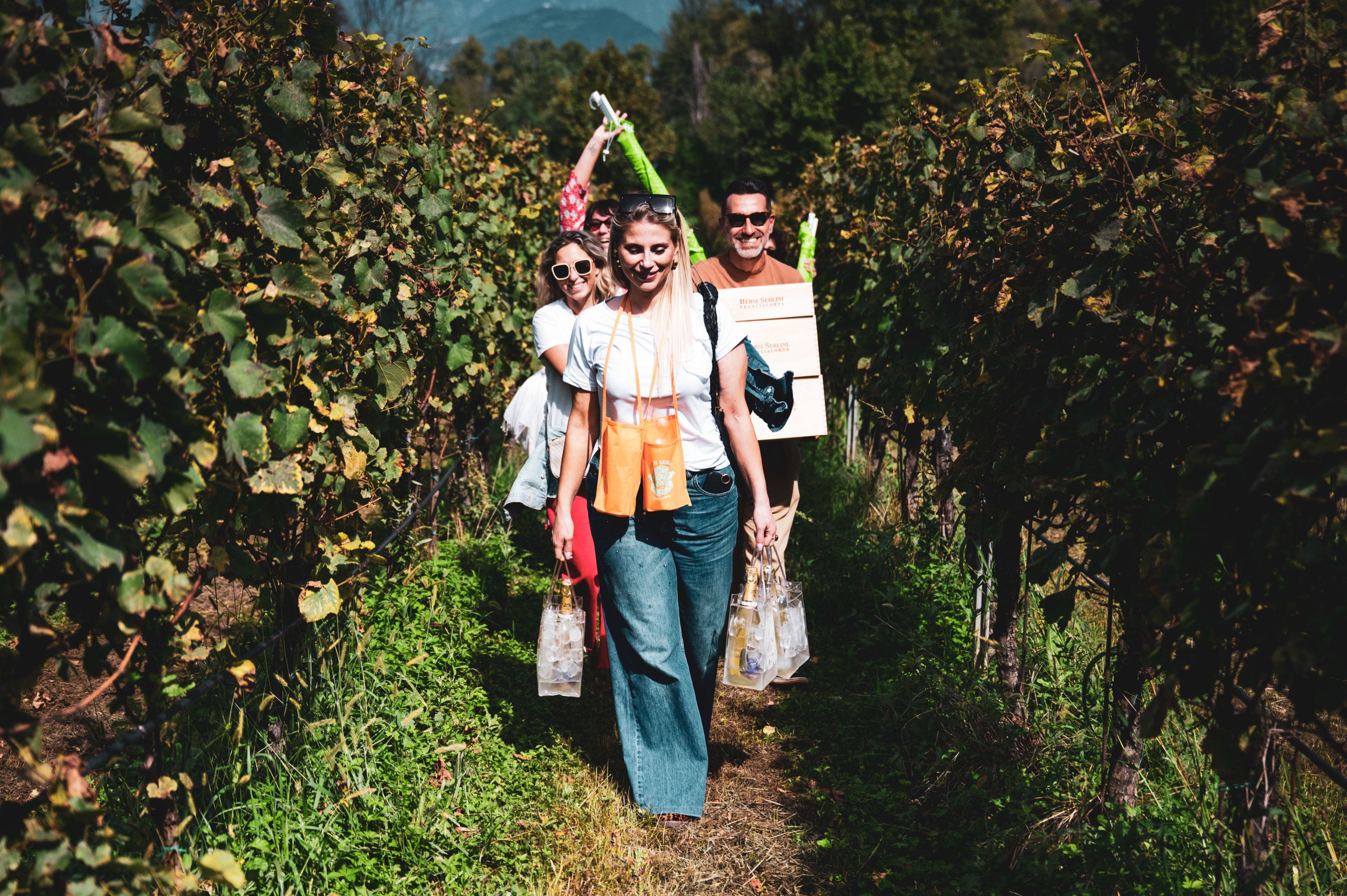 Pic Nic fra i vigneti