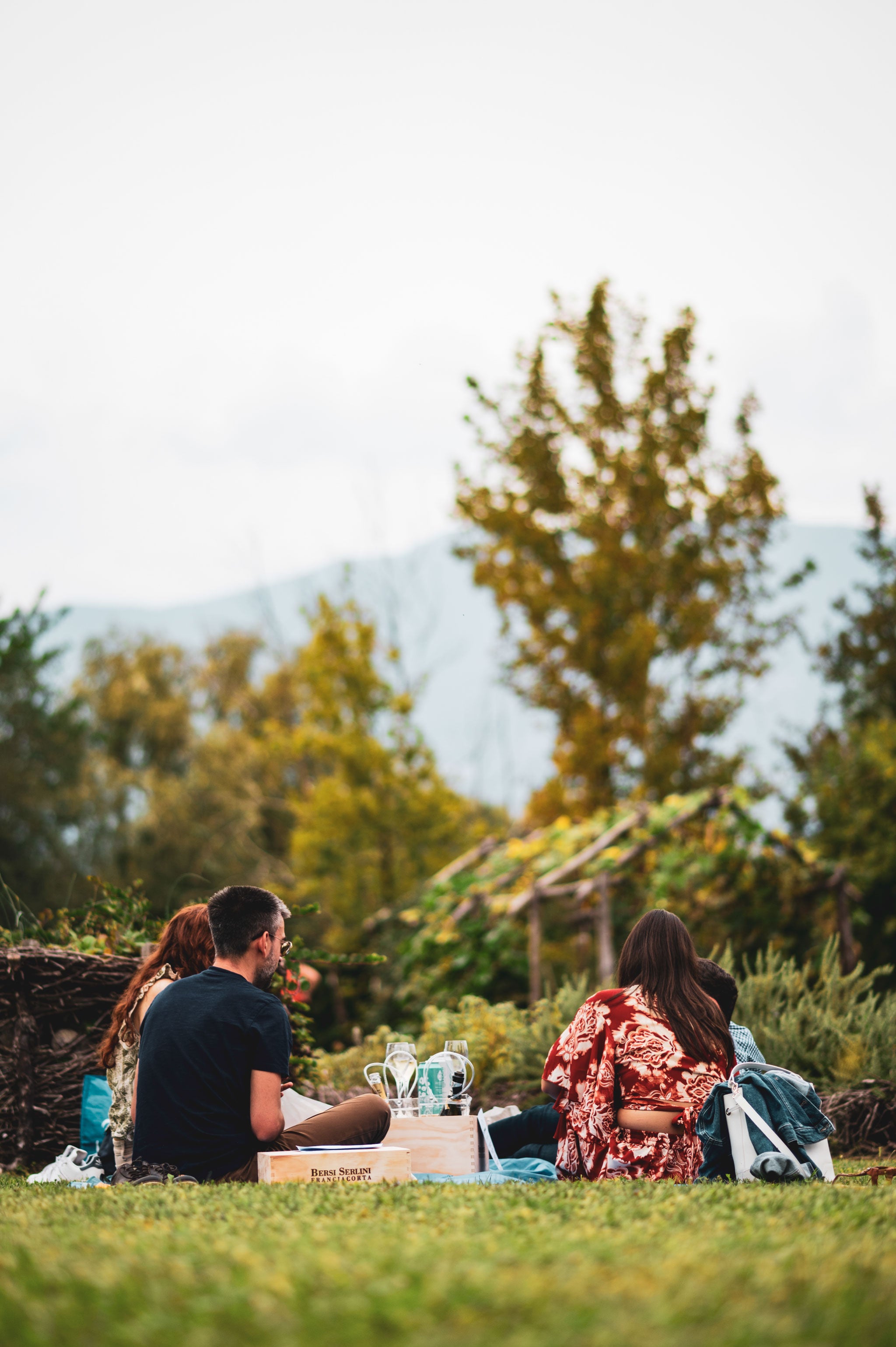 Pic Nic fra i vigneti