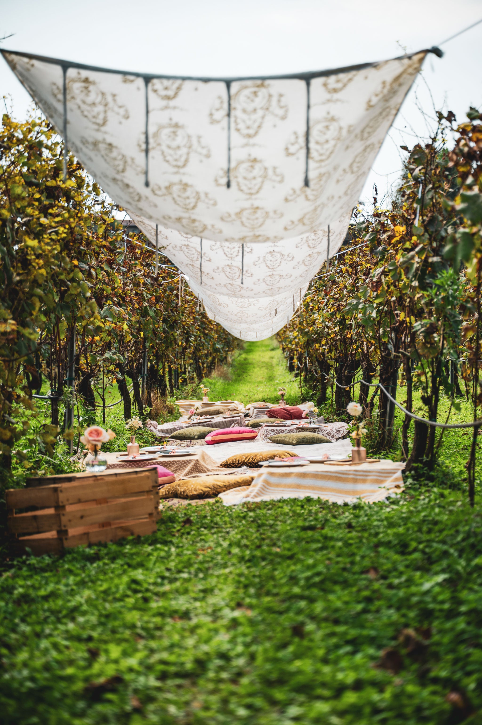Pic Nic fra i vigneti