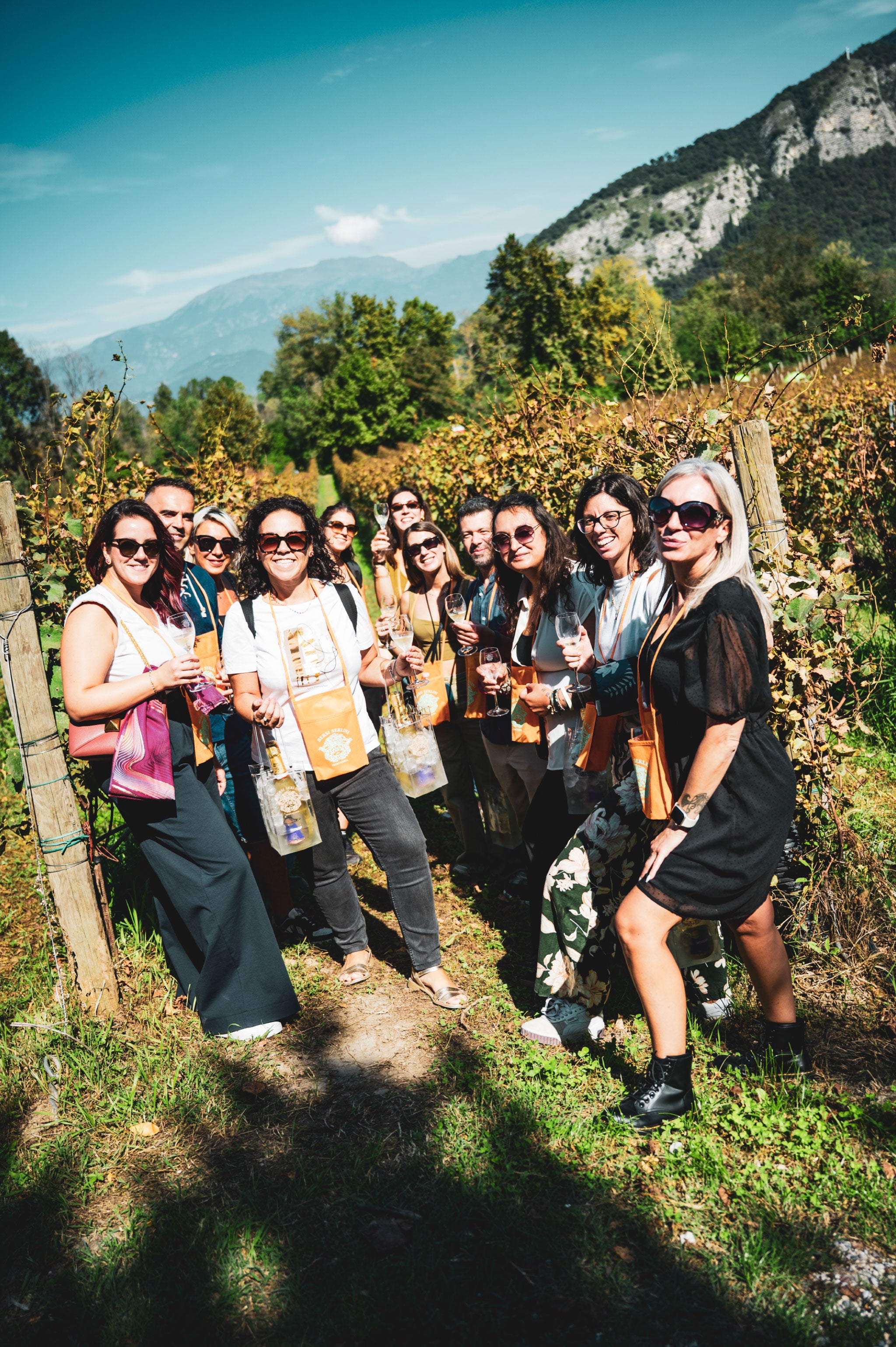 Pic Nic fra i vigneti