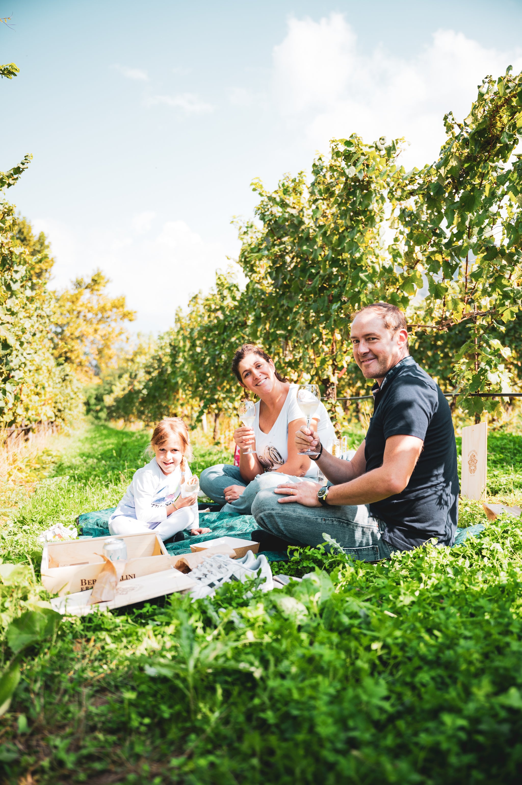 Pic Nic bordo vigna